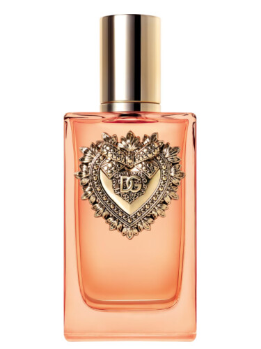 Dolce and Gabbana Devotion Intense: What Does It Smell Like? (Honest First Impressions)