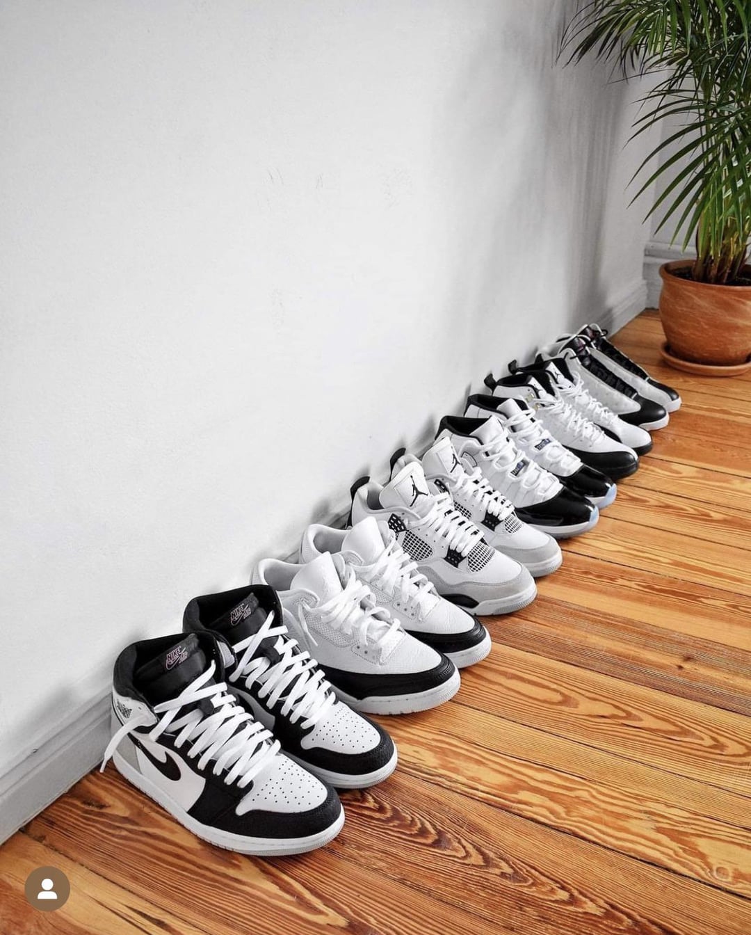 Black and Silver Jordan 12: Are These the Best Jordans Ever? See What Sneakerheads Are Saying
