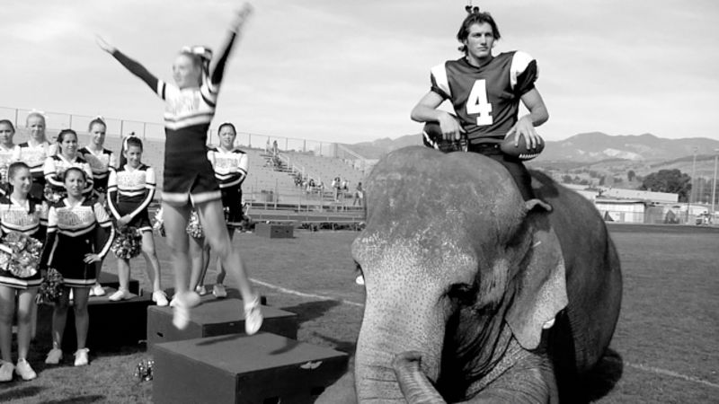 Whats Hot in Elephant 2013 Clothes? Check This Out!