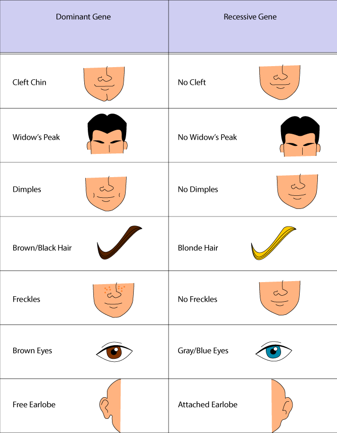 Blond with brown eyes genetics? Learn about the science behind this unique trait!