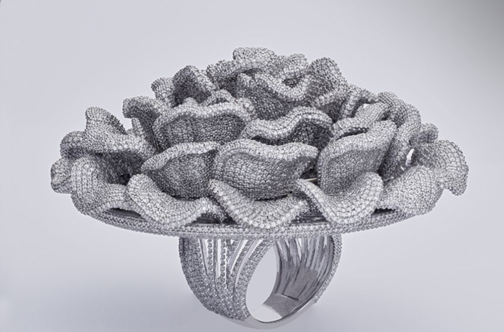 Guinness World Record Money Ring: Is This the Biggest Diamond Ring in History?