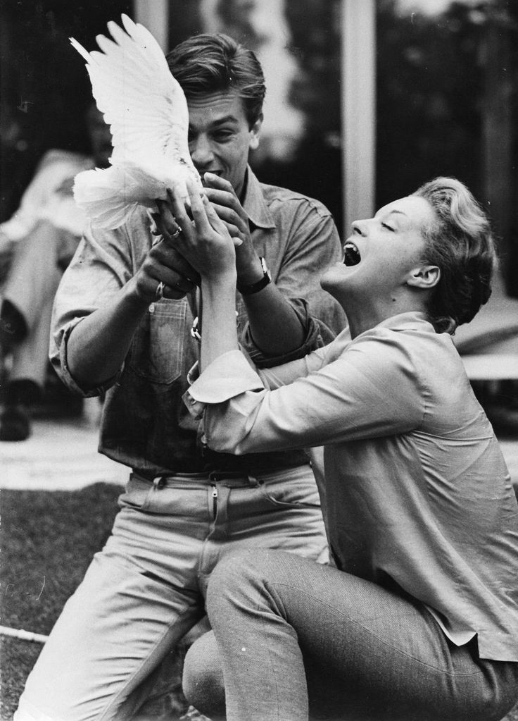 Alain Delon and Romy Schneider: See How This Famous Couple Fell in Love and Why They Broke Up.