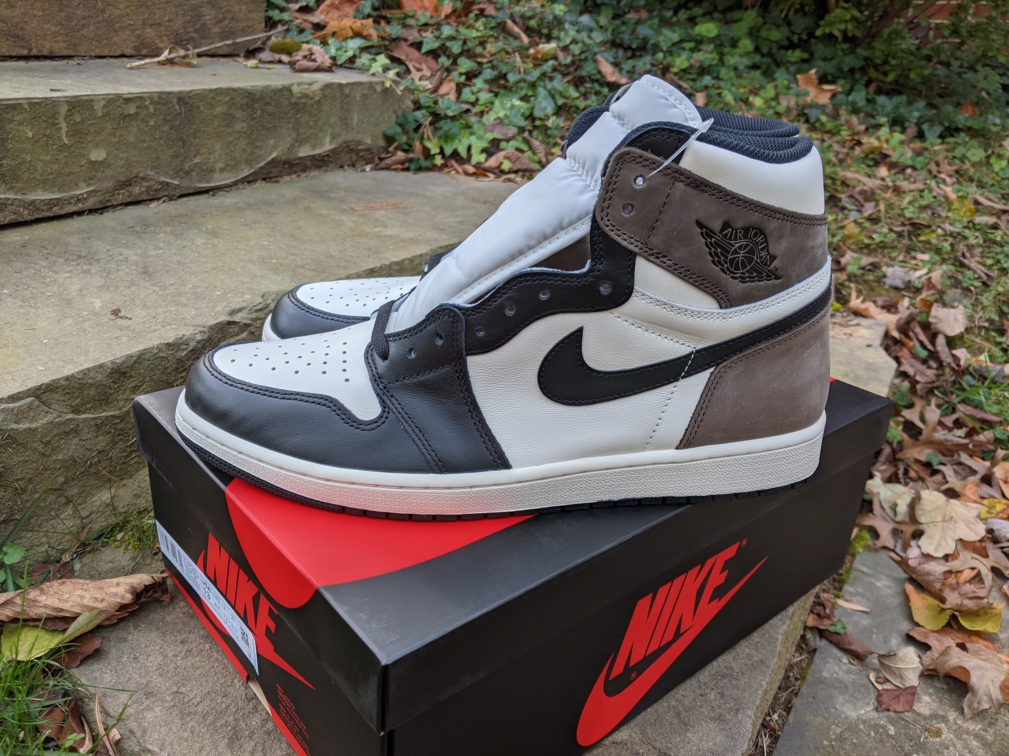 Jordan 1 Long Tongue Review: Is It Worth the Hype?