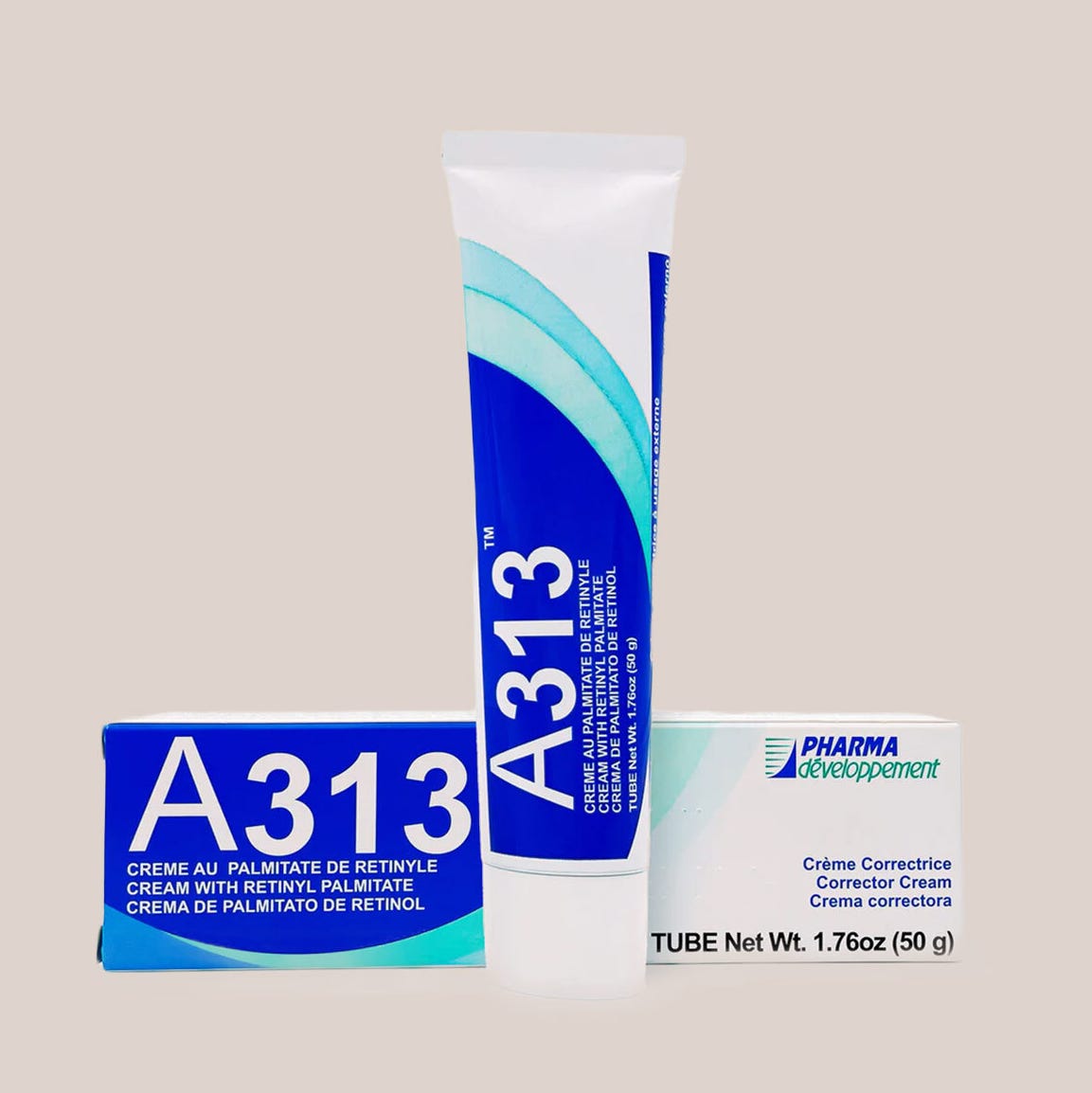 a313 Explained: What It Is and Why It Matters (A Beginners Guide)