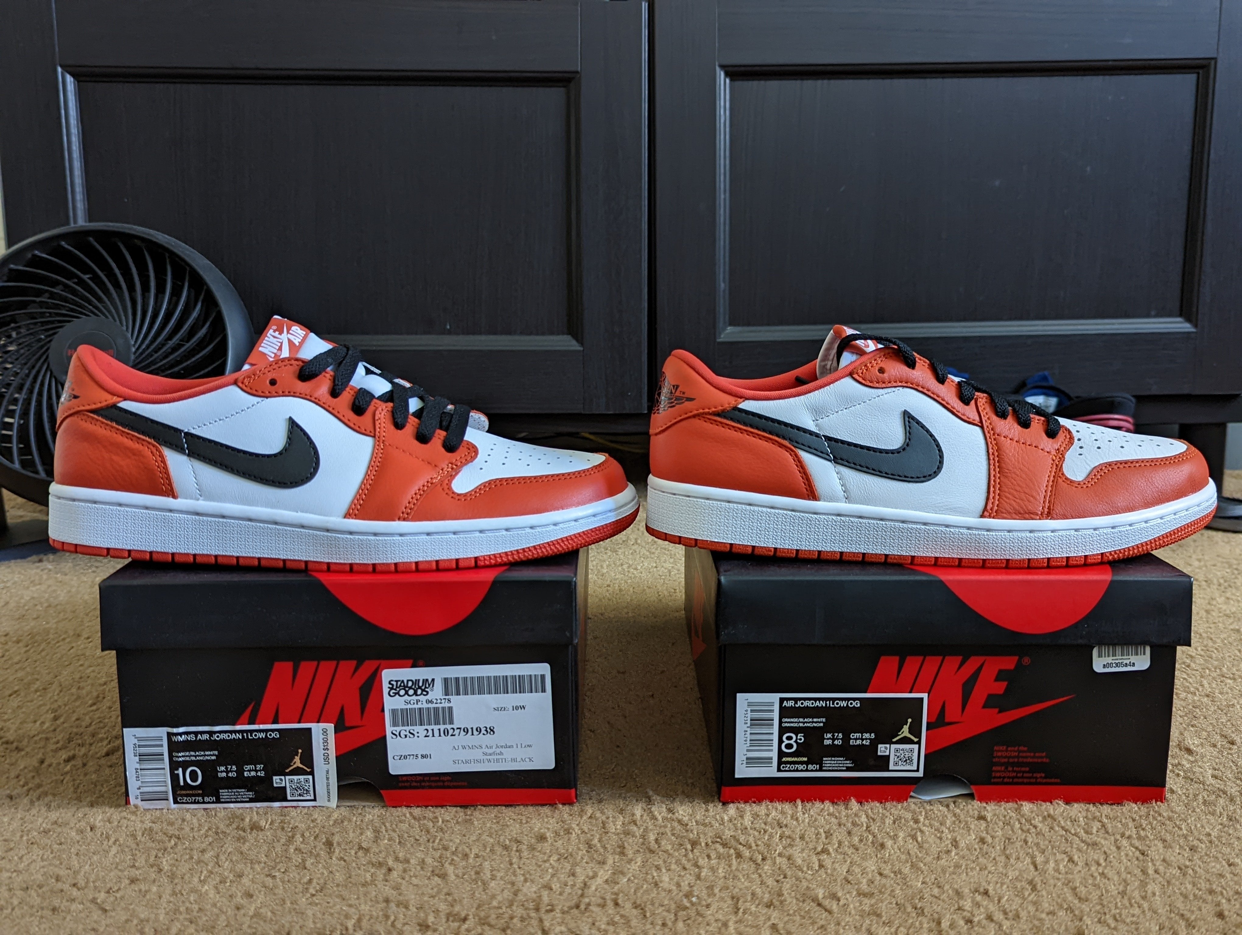 Starfish Dunks Review: Are They Worth the Hype?