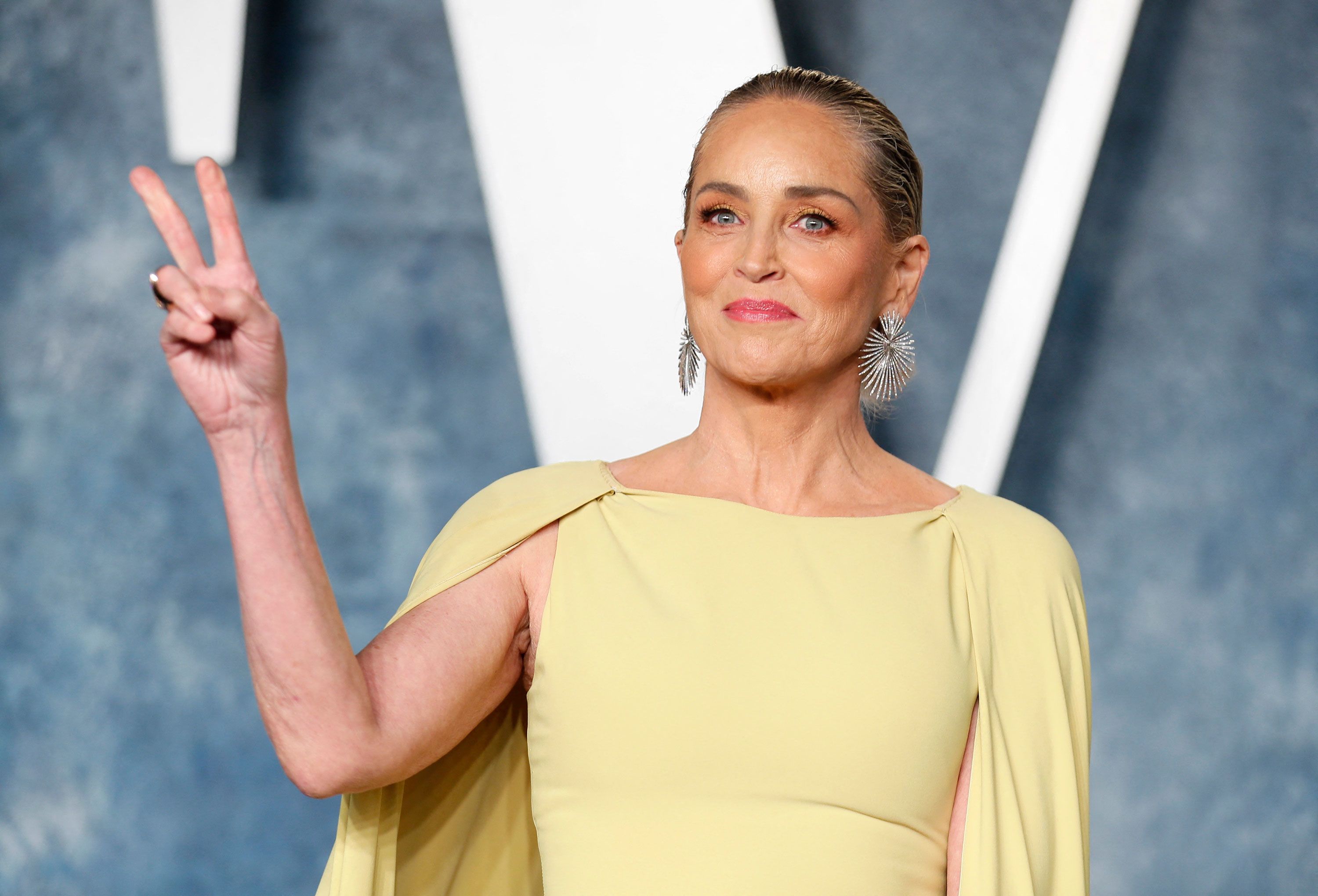 what is sharon stone doing in 2024(her latest news and projects)