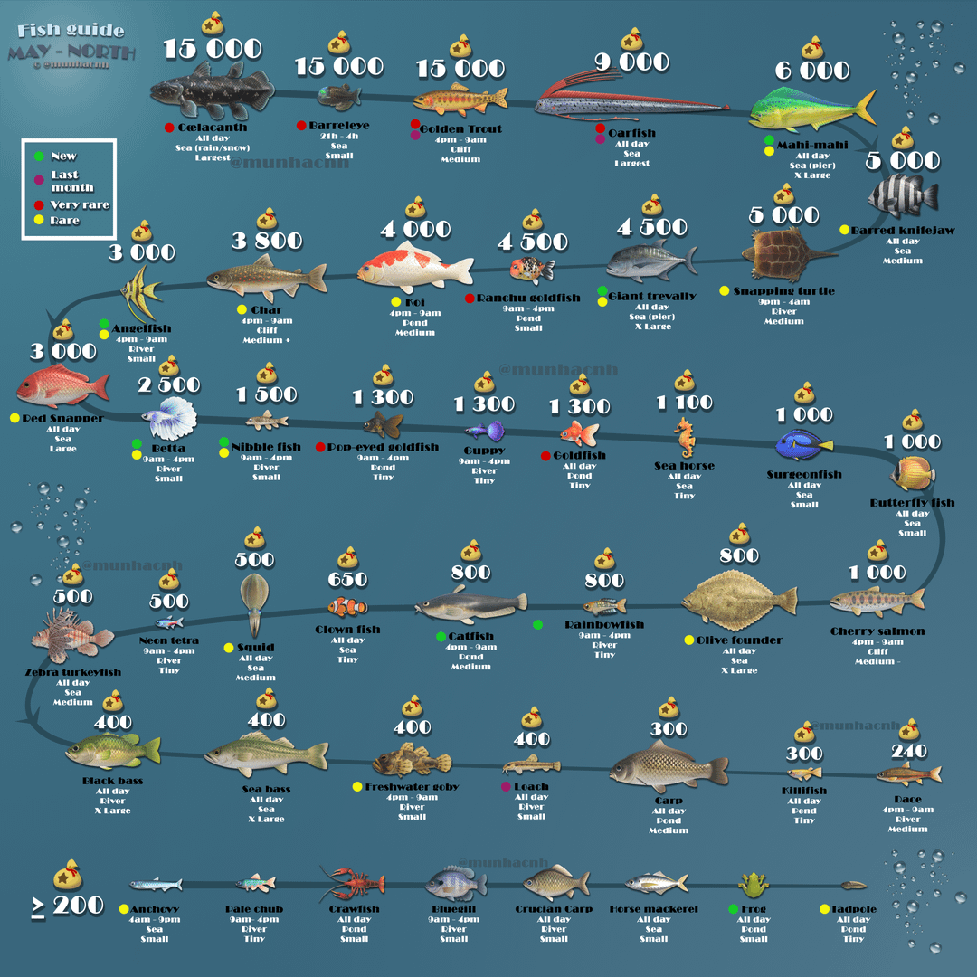 Where to Find All Blue 11 (Your Guide to Spotting This Fish)