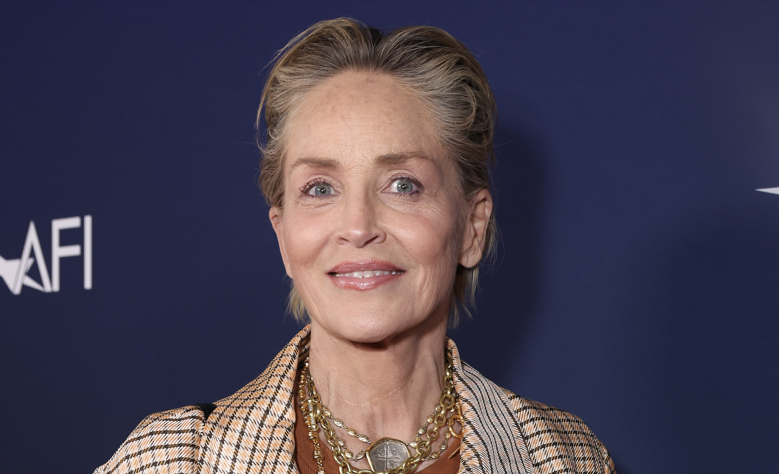 what is sharon stone doing in 2024(her latest news and projects)