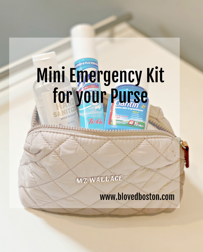 What to Have in Your Purse for Emergencies? Be Prepared Always.