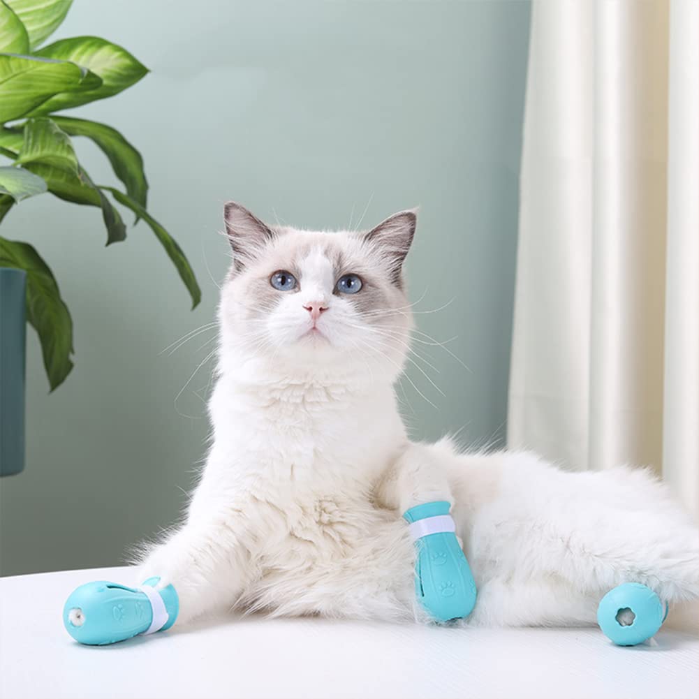 Cat boots for cats, what are the best brands (Top picks for quality and durability)