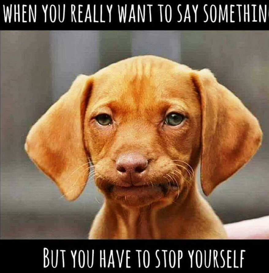 Hilarious Holiday Work Week Memes That Are Too Real