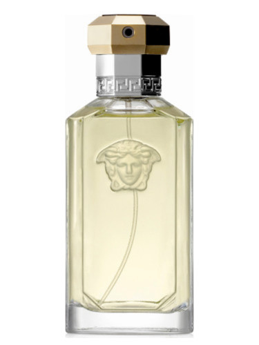 Is Versace The Dreamer Long-Lasting? (A Real-World Test and User Feedback)