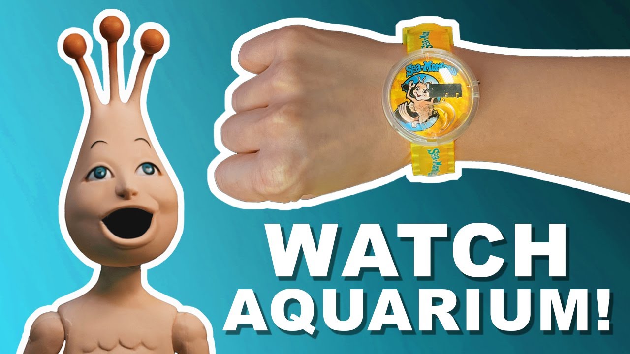 Sea Monkey Watch: Ultimate Guide for Beginners (Tips and Tricks)