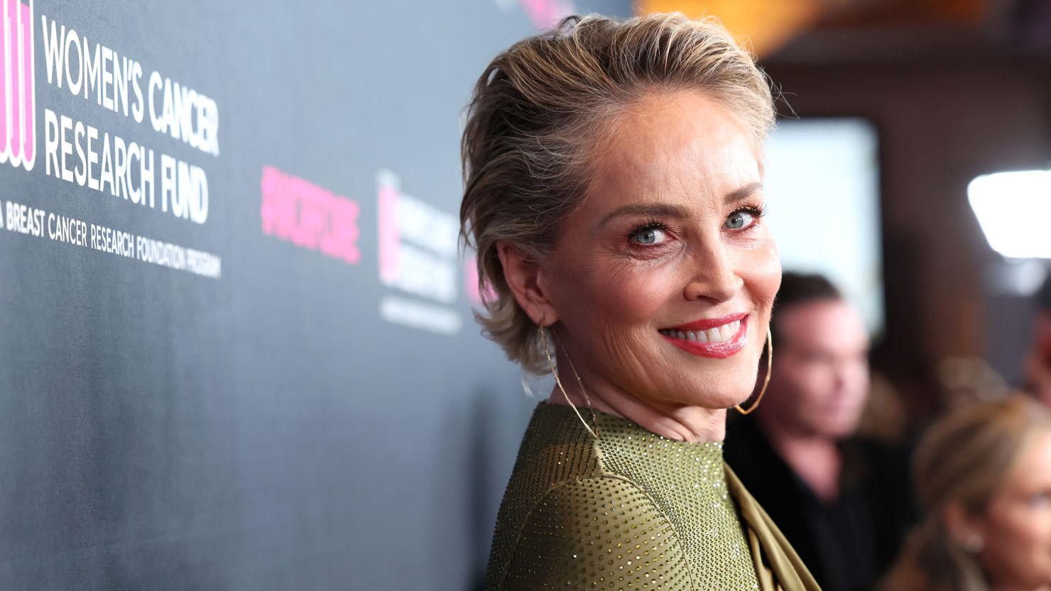 what is sharon stone doing in 2024(her latest news and projects)