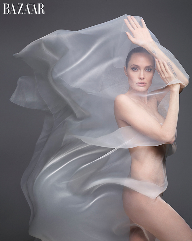 Uncensored Nude Angelina Jolie Pics You Wont Believe