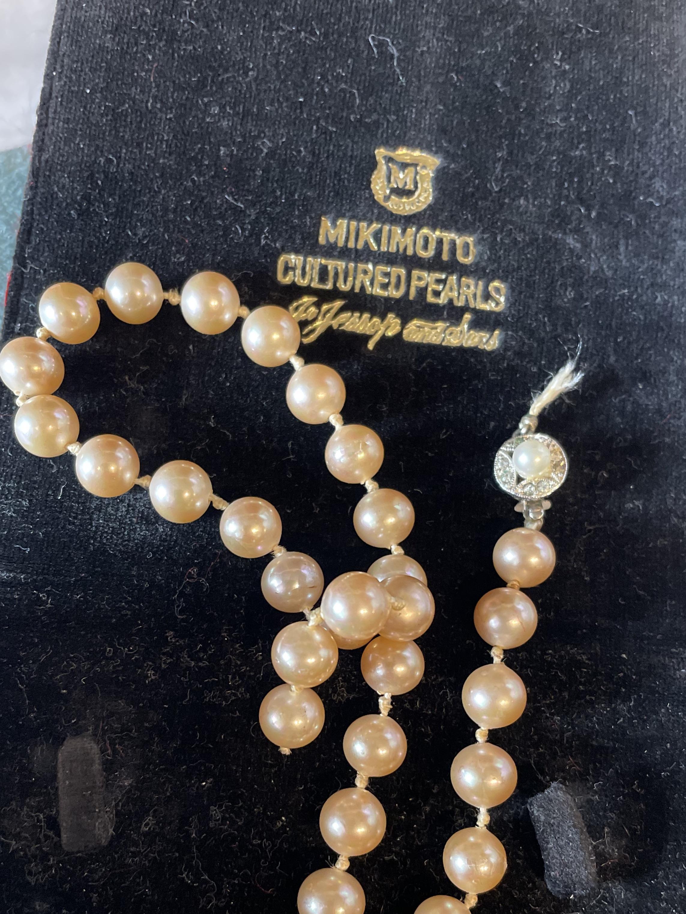 mikimotot Pearls good or bad? Find out from real customer reviews!
