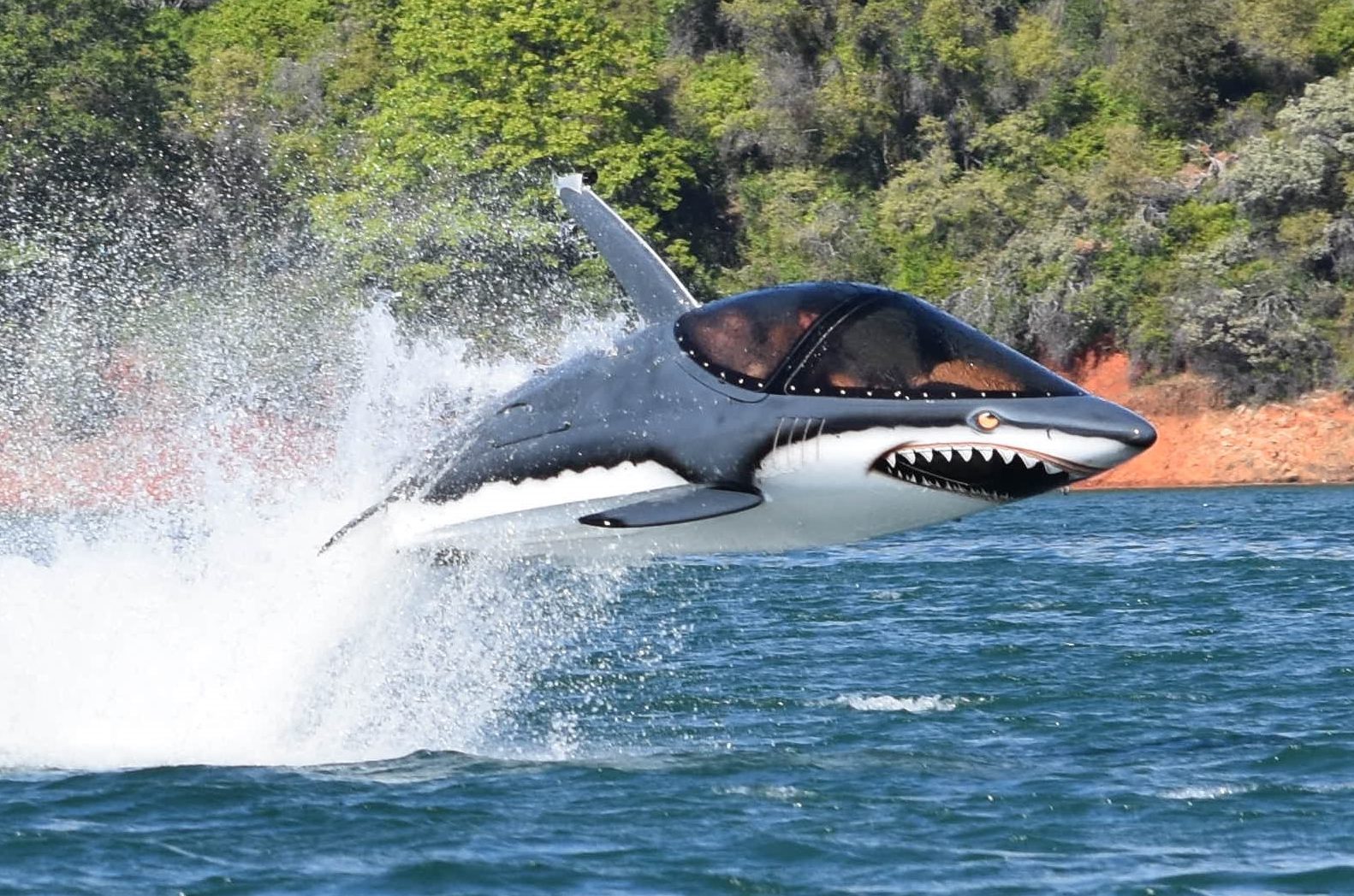 Want a Seabreacher? Find Out How Much It Costs!