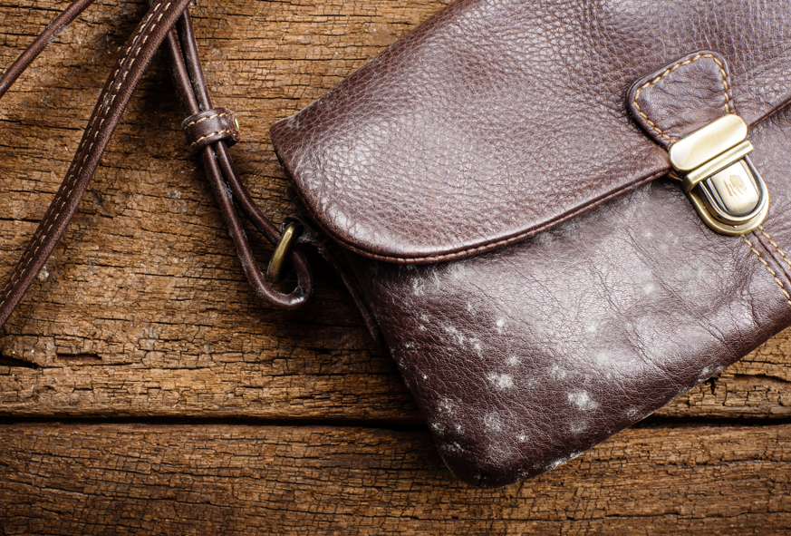 Is your bag moldy? Learn to remove mold and keep your bag fresh effectively.
