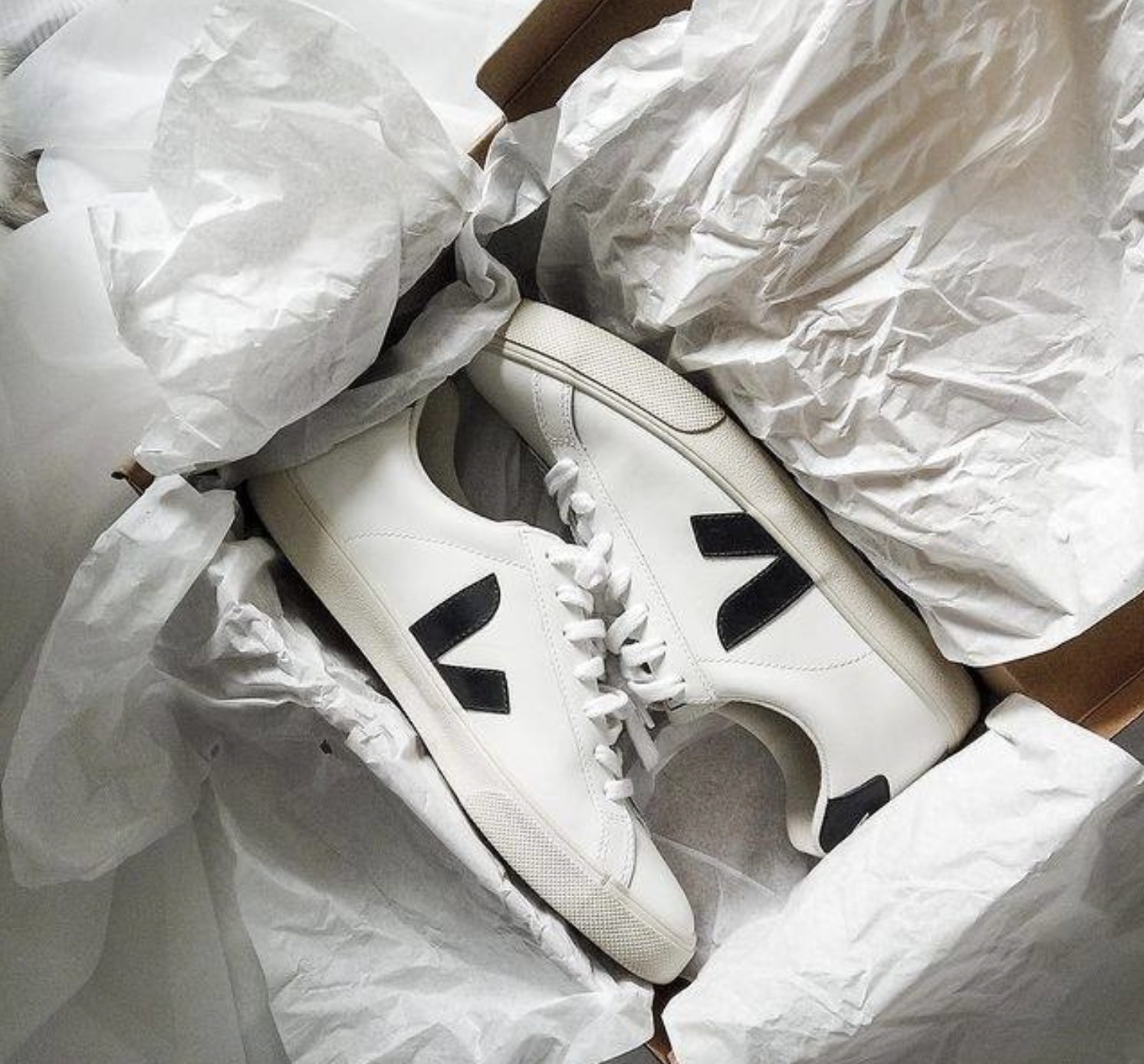 Is Veja a Good Brand? Read This Before You Buy.